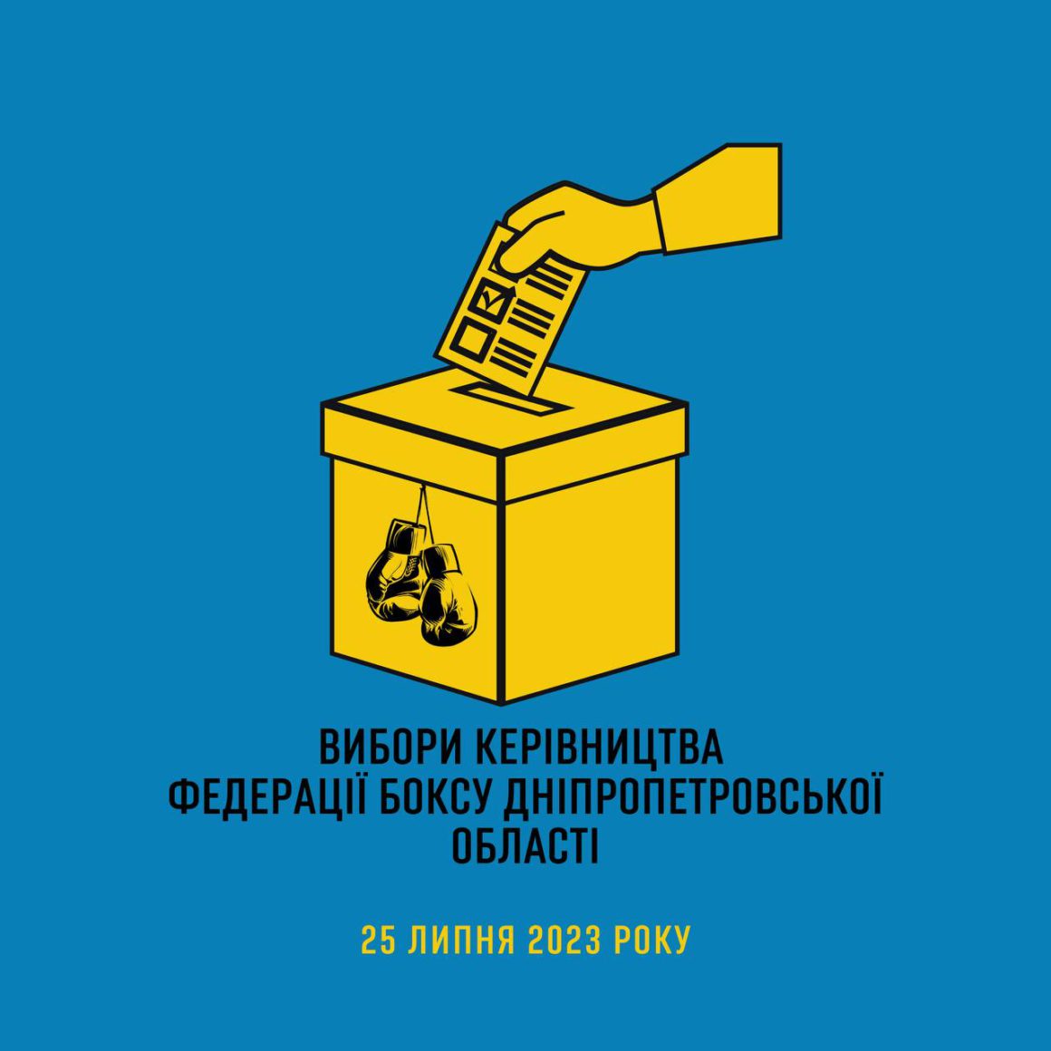 25 липня Дніпропетровська обласна федерація боксу України проведе перевибори президента та керівництва федерації 